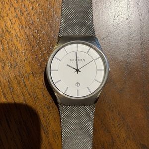 Skagen Mesh 956XLTTW